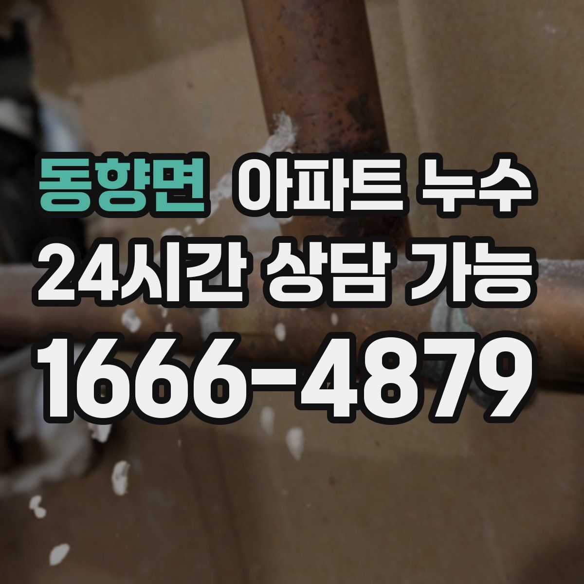 동향면 아파트 누수탐지