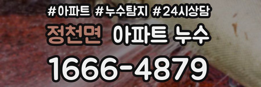 정천면 누수탐지