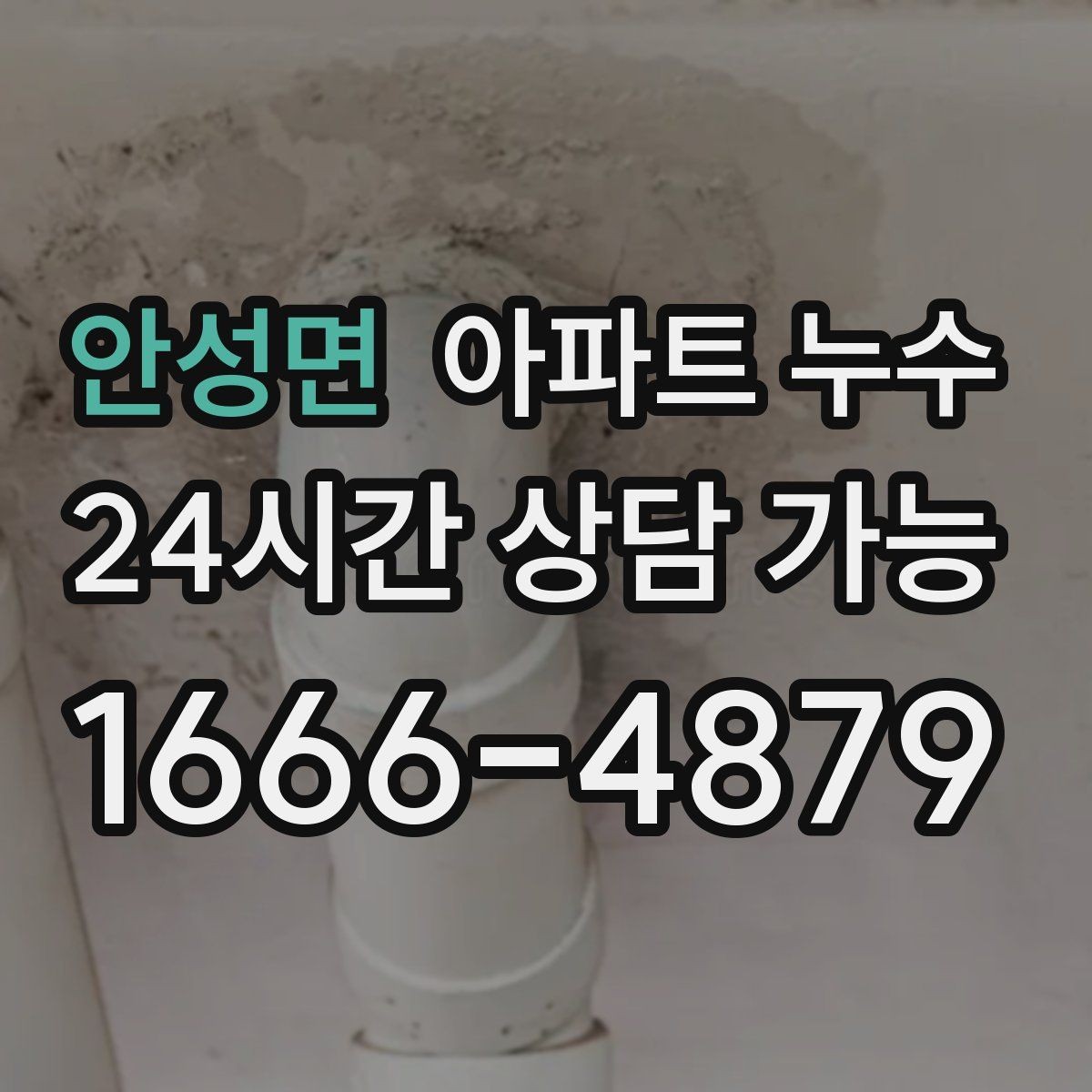 안성면 아파트 누수 천장 벽 바닥 증상별 점검 포인트