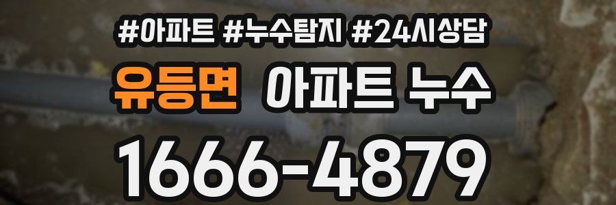 유등면 누수탐지