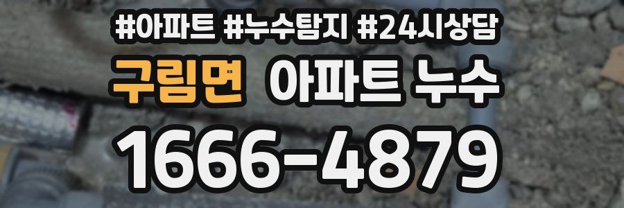 구림면 누수탐지