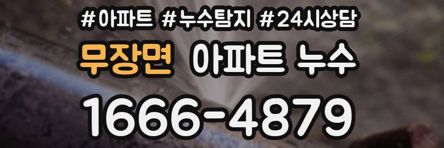 무장면 누수탐지