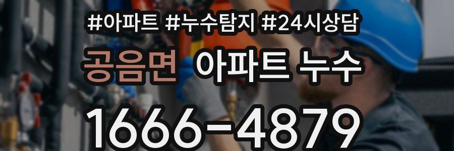 공음면 누수탐지