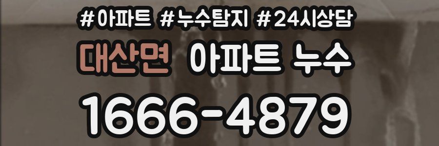 대산면 누수탐지