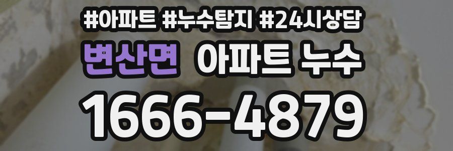 변산면 누수탐지