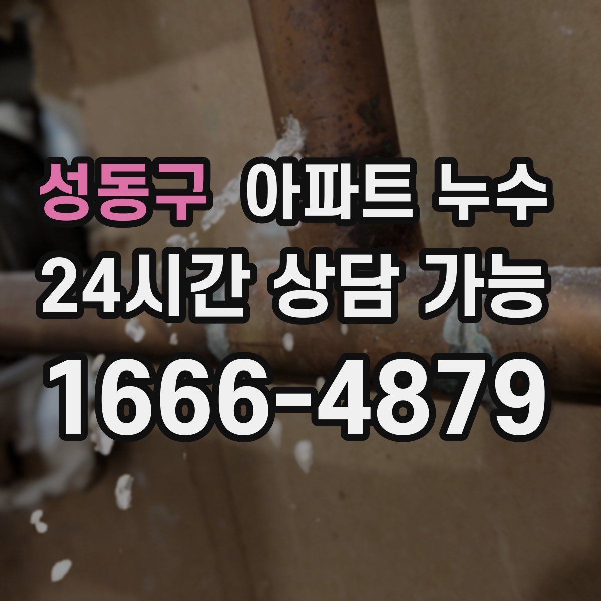 성동구 아파트 누수 의심 증상별로 다른 점검 우선순위