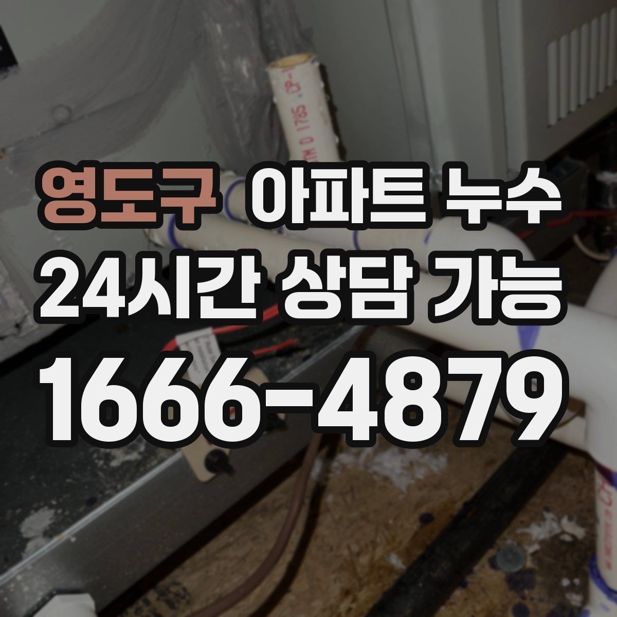영도구 아파트 누수 장판 아래 곰팡이 냄새가 날 때