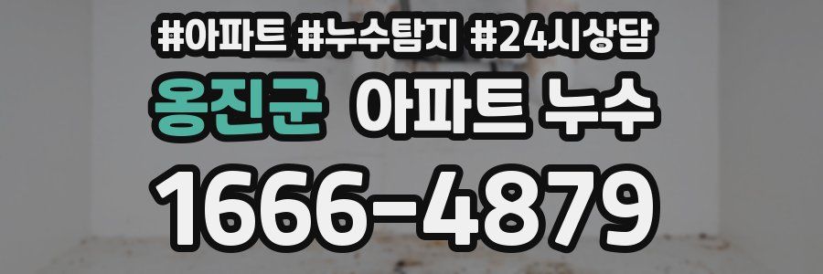 옹진군 누수탐지