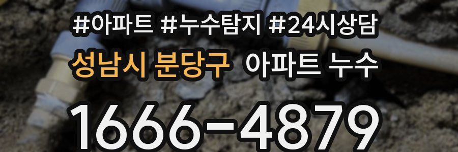 성남시 분당구 누수탐지