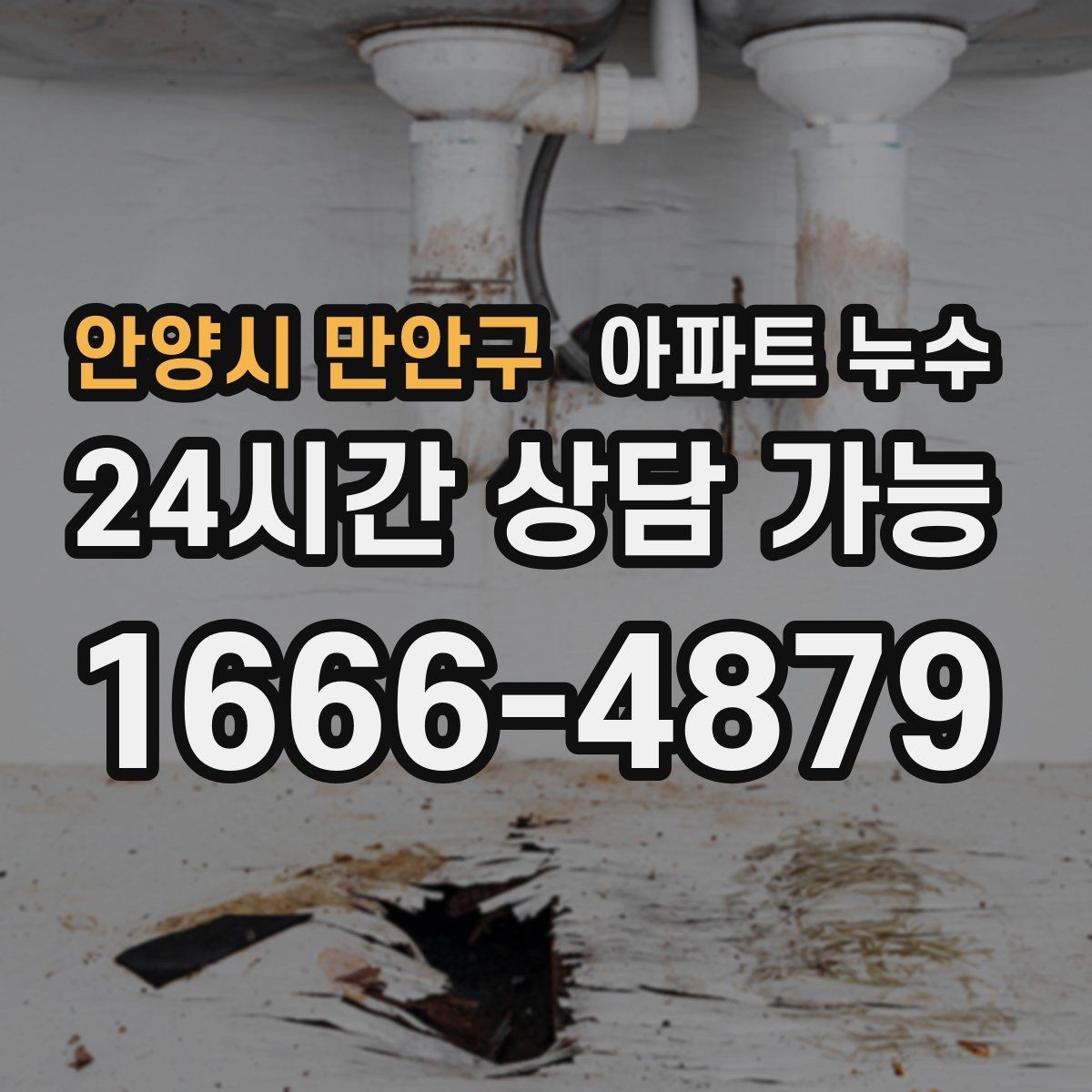안양시 만안구 아파트 누수 벽 모서리 곰팡이 커지기 전 현장 체크