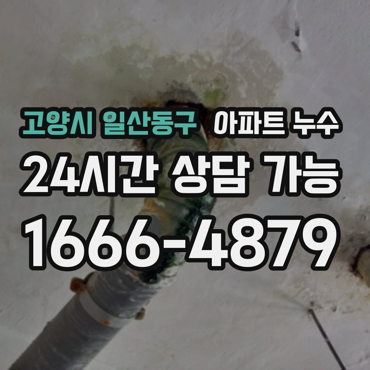 고양시 일산동구 아파트 누수 천장 도장면 갈라짐이 보이면