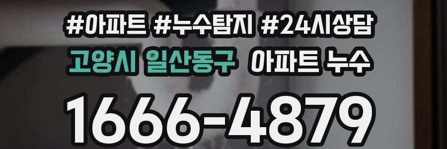 고양시 일산동구 누수탐지