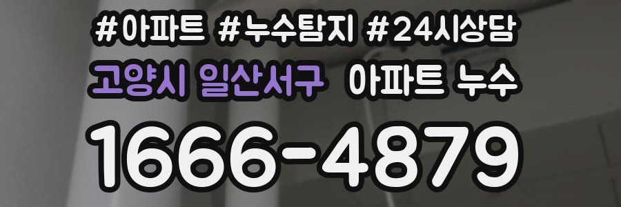 고양시 일산서구 누수탐지