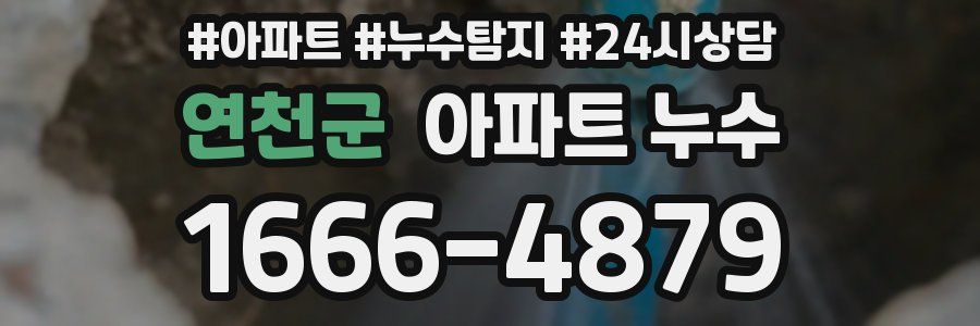 연천군 누수탐지