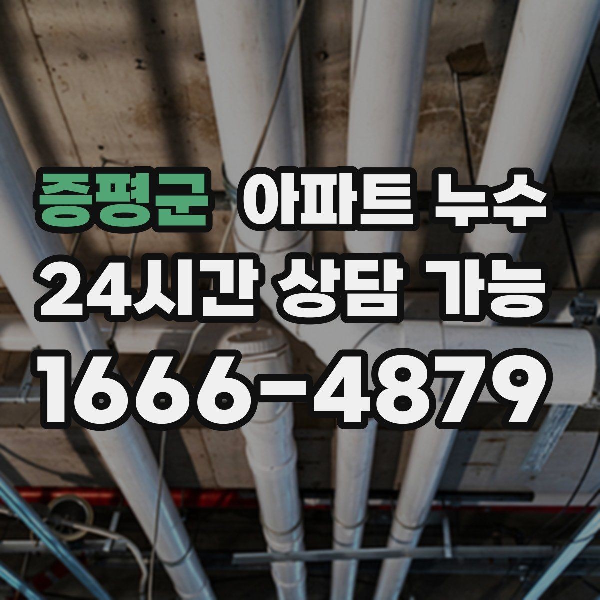 증평군 아파트 누수 현관 주변 젖음 보이면 원인 확인부터 정리