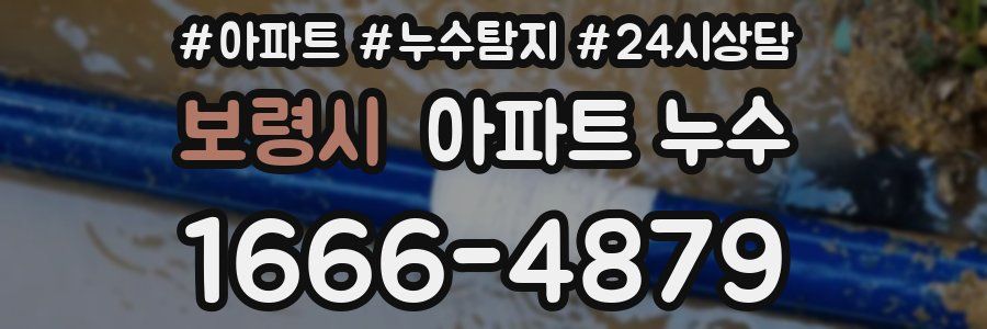 보령시 누수탐지