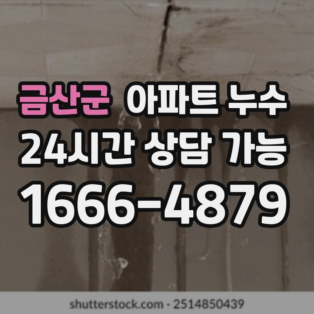 금산군 아파트 누수 신발장 주변 습기와 곰팡이 원인
