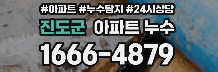 진도군 누수탐지