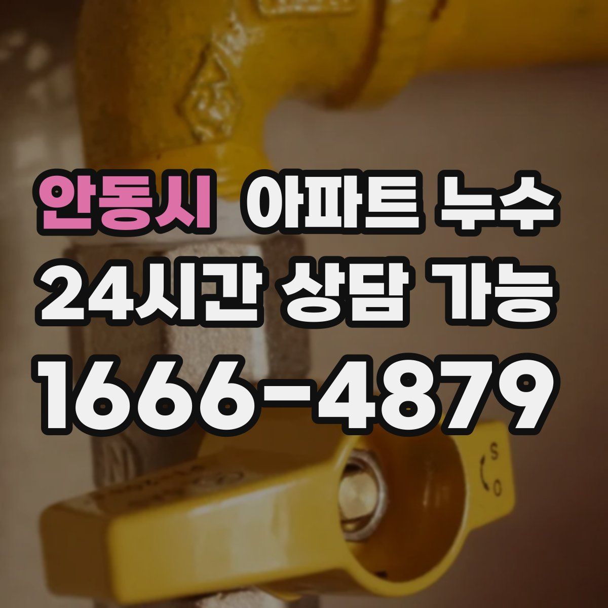 안동시 아파트 누수탐지