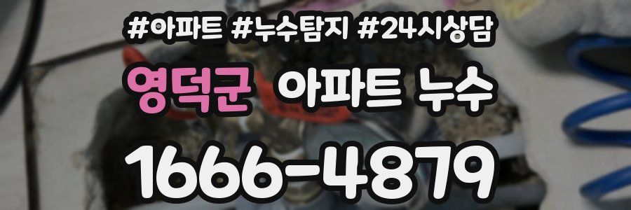 영덕군 누수탐지