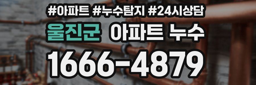 울진군 누수탐지