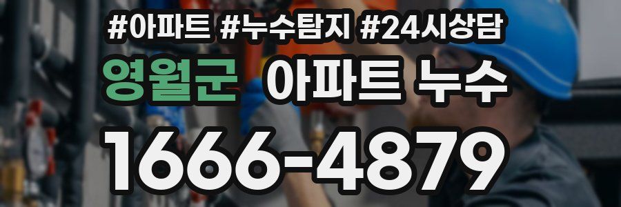 영월군 누수탐지