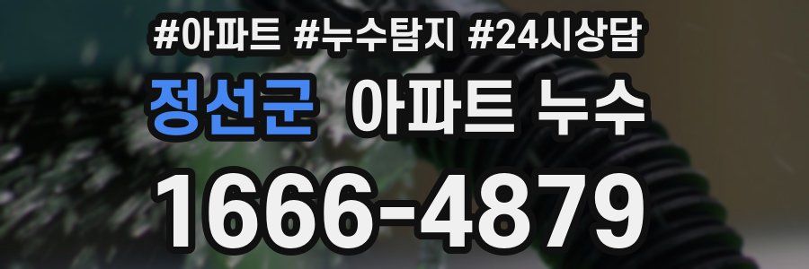 정선군 누수탐지