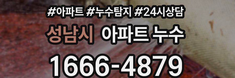 성남시 누수탐지