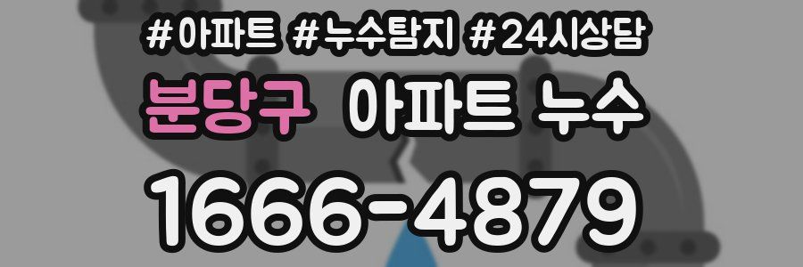 분당구 누수탐지