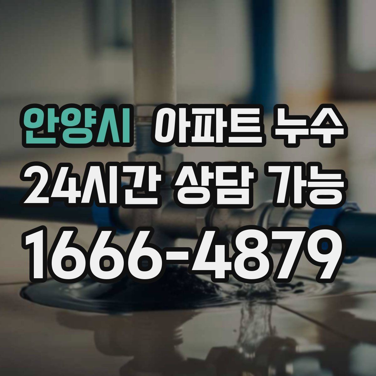 안양시 아파트 누수 사진으로 확인하는 대표 물자국 패턴