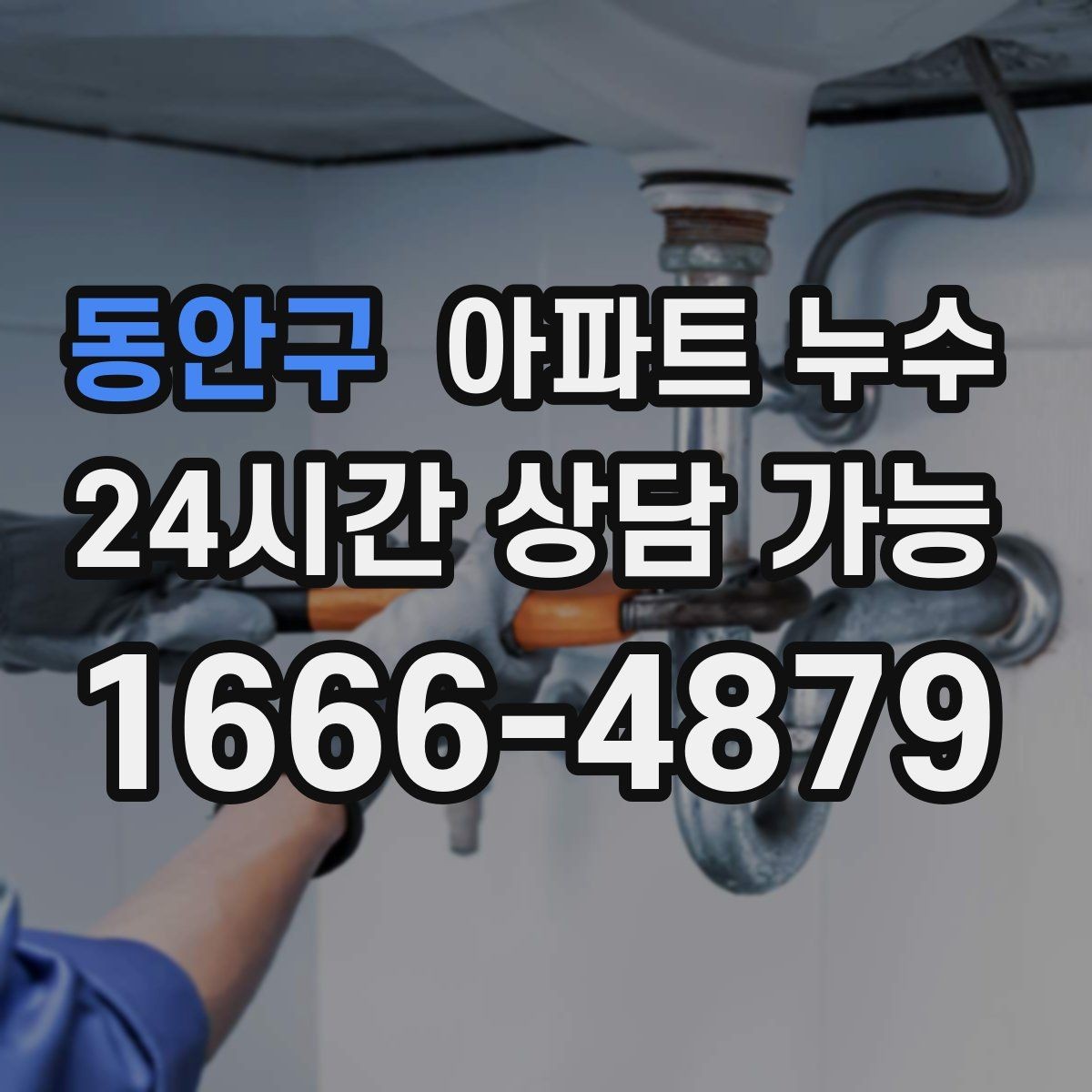 동안구 아파트 누수 장판 아래 곰팡이 냄새가 날 때