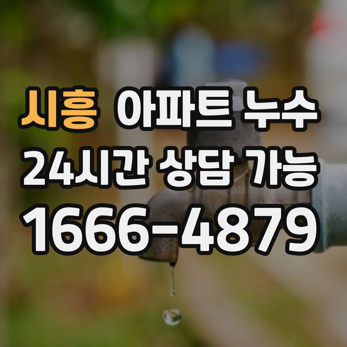 시흥 아파트 누수탐지