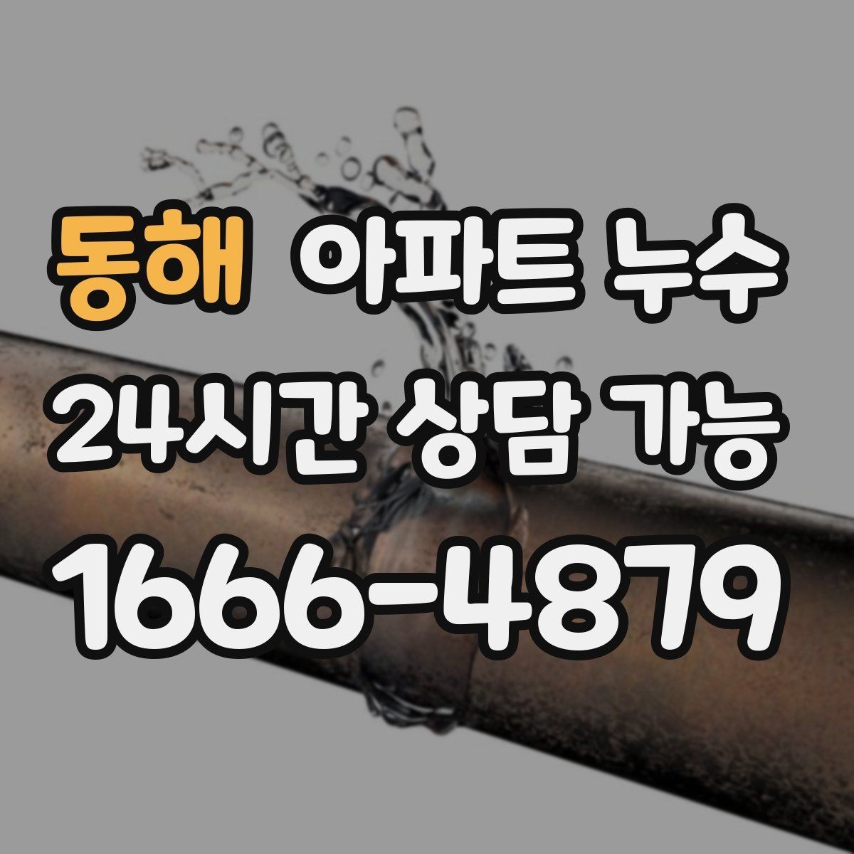 동해 아파트 누수 겨울철 자주 보이는 패턴과 피해 최소화