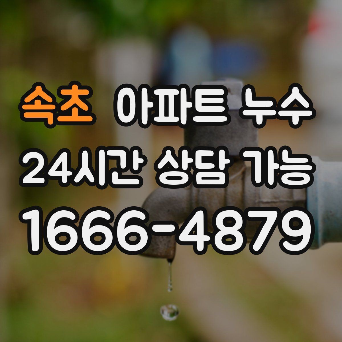 속초 아파트 누수 욕실 문 하단 변색 보이면 피해 최소화부터 정리