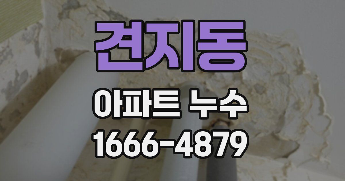 견지동 아파트 누수