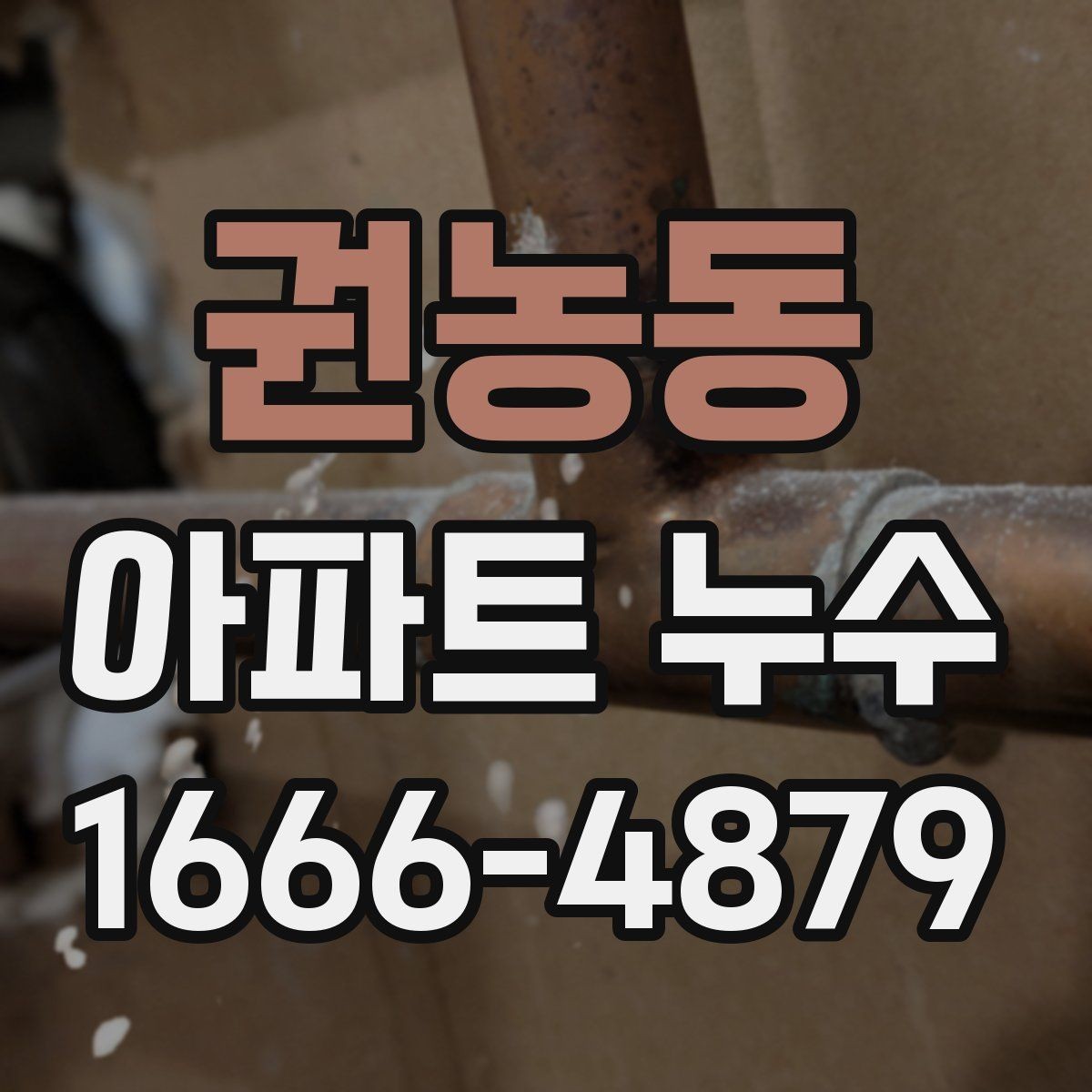 권농동 아파트 누수 발견 후 이웃과 확인할 항목
