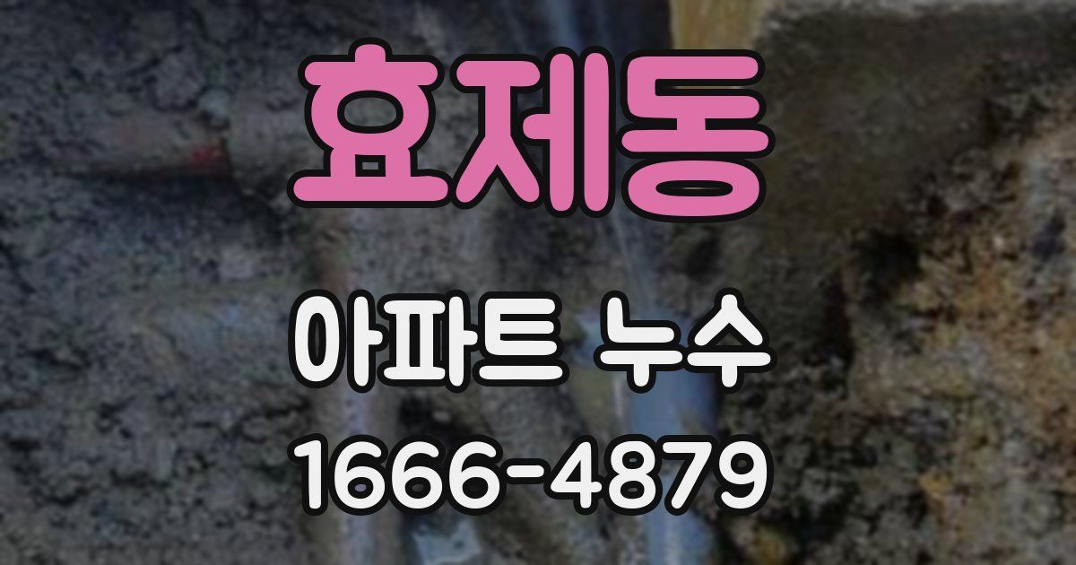 효제동 아파트 누수