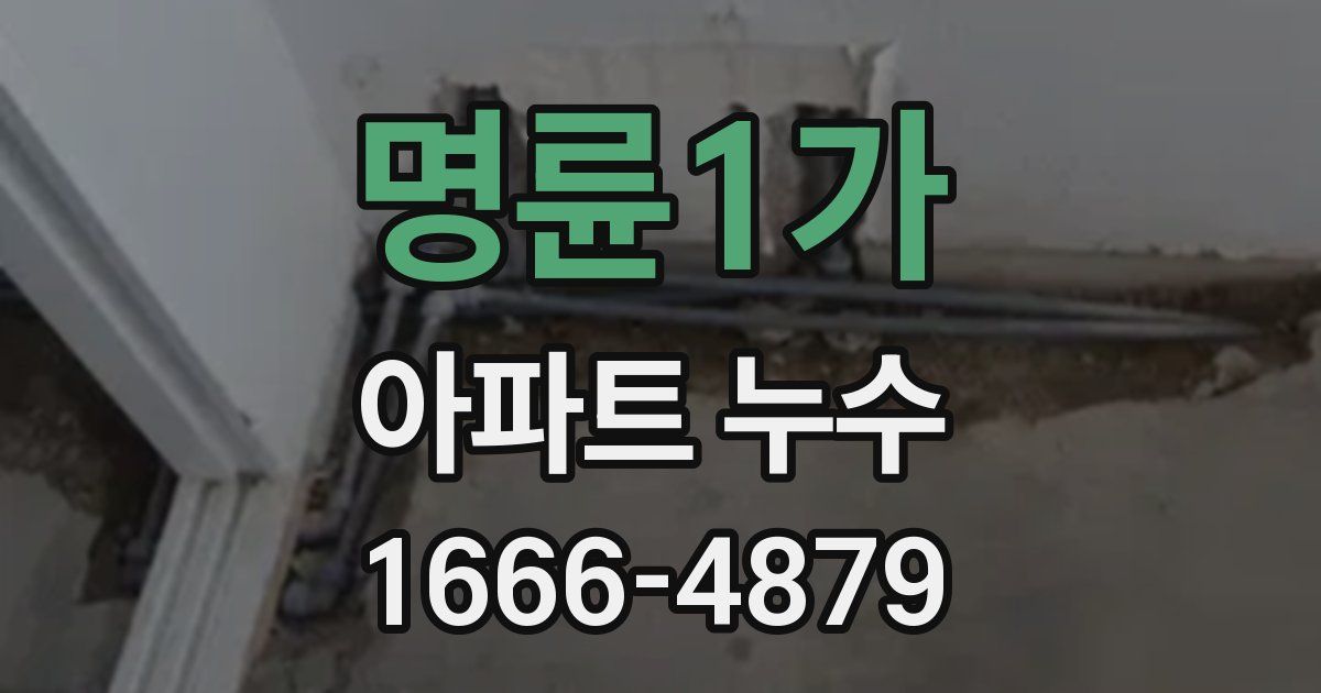명륜1가 아파트 누수