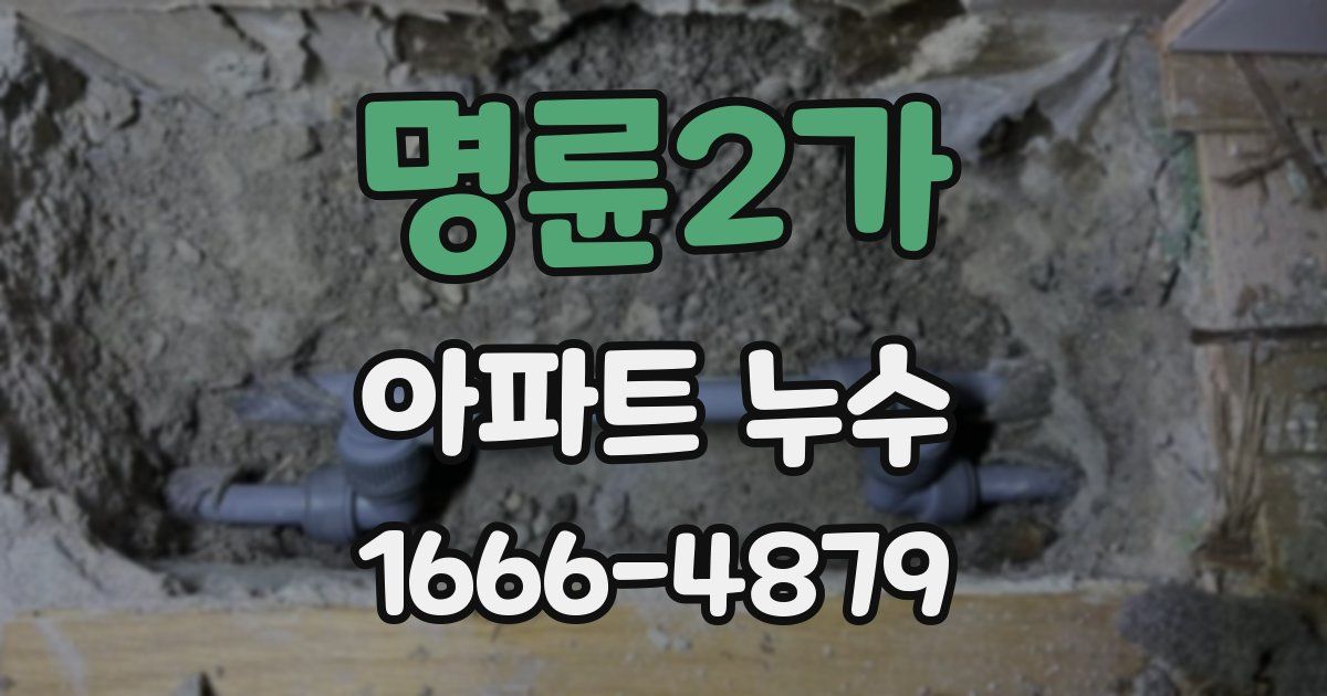명륜2가 아파트 누수