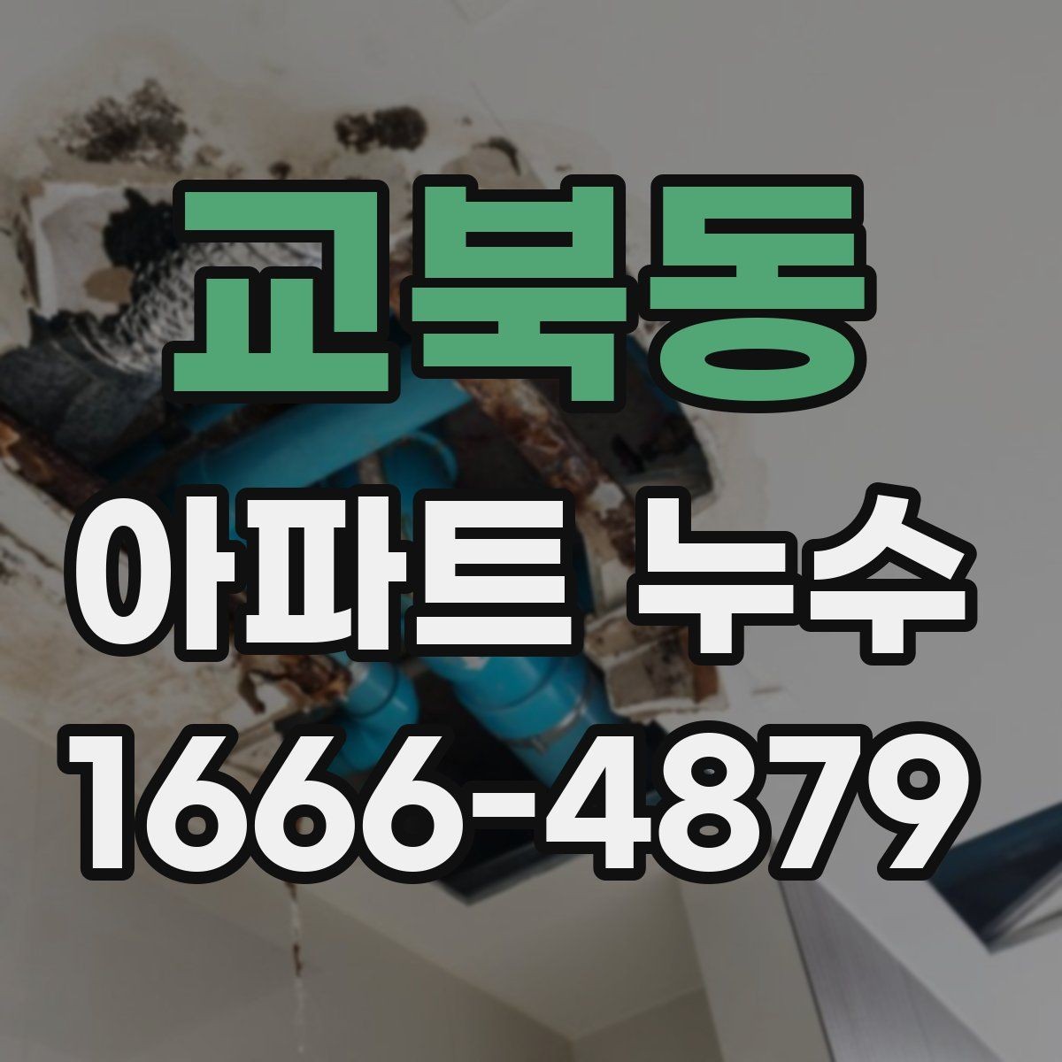교북동 아파트 누수 증상과 원인을 함께 보는 법