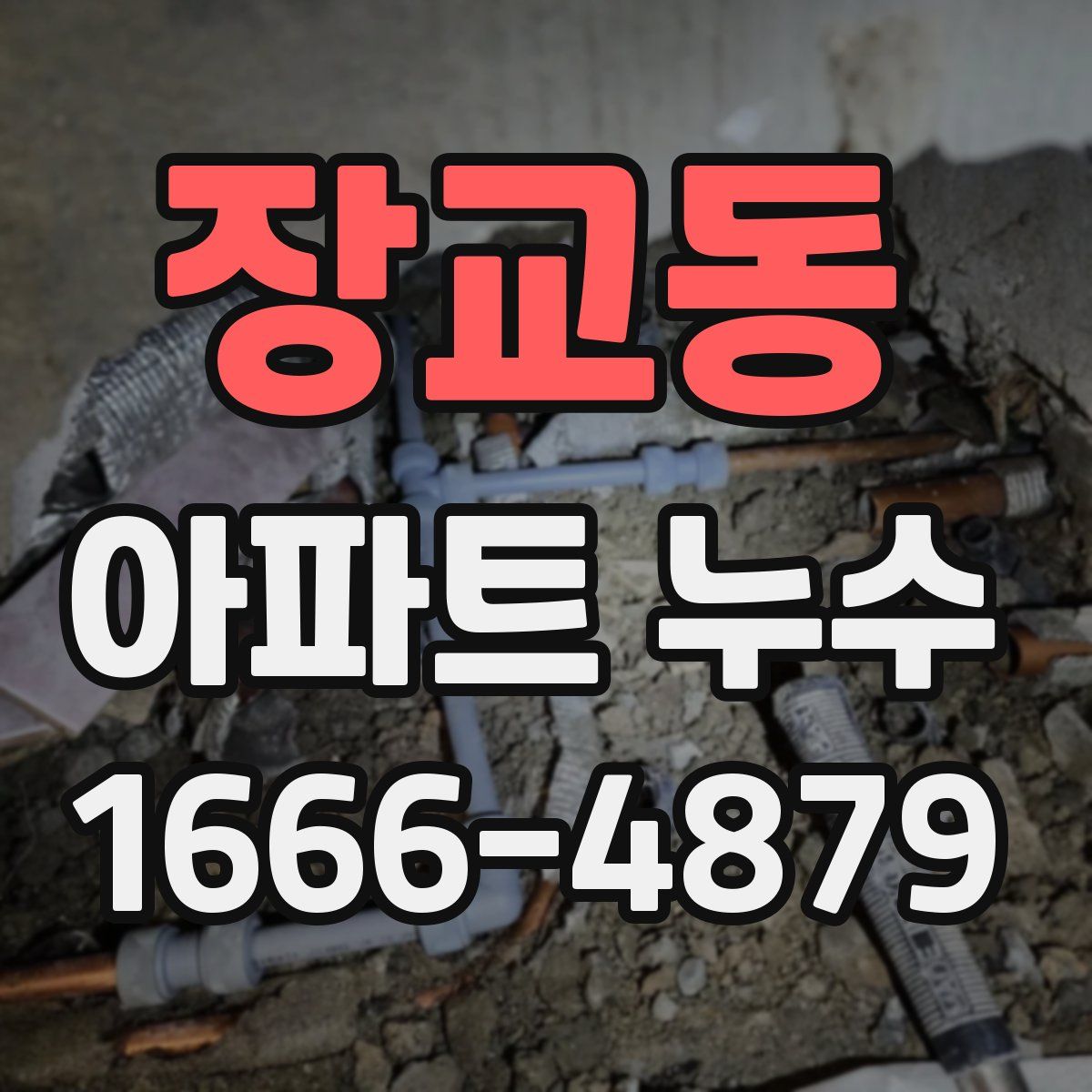 장교동 아파트 누수