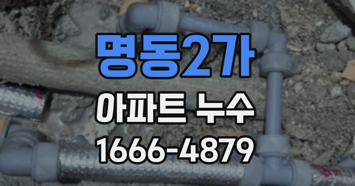 명동2가 아파트 누수