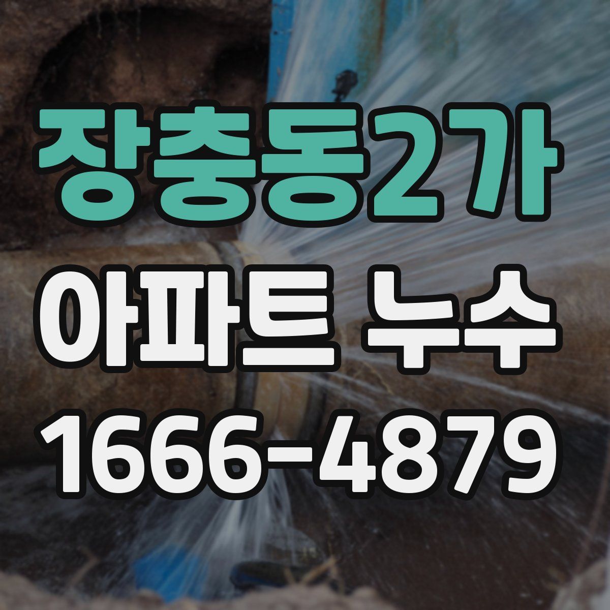 장충동2가 아파트 누수