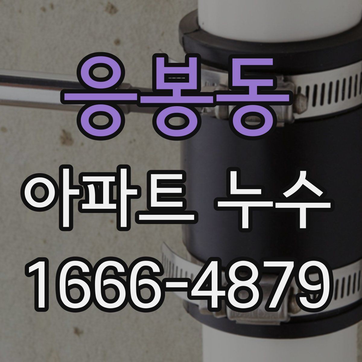 응봉동 아파트 누수 수선 범위 확인하는 현실적인 기준