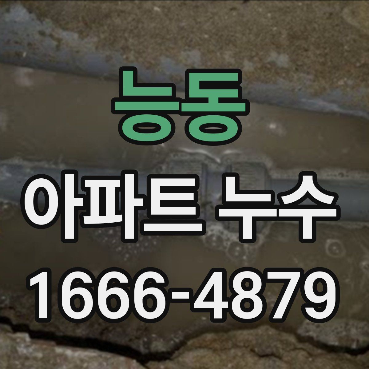 능동 아파트 누수 탐지 결과를 해석하는 기본 방법