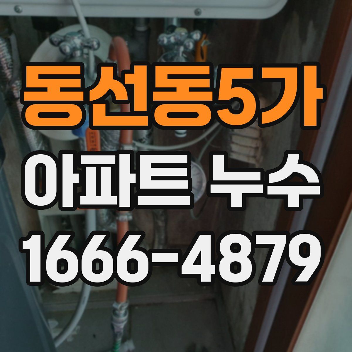 동선동5가 아파트 누수