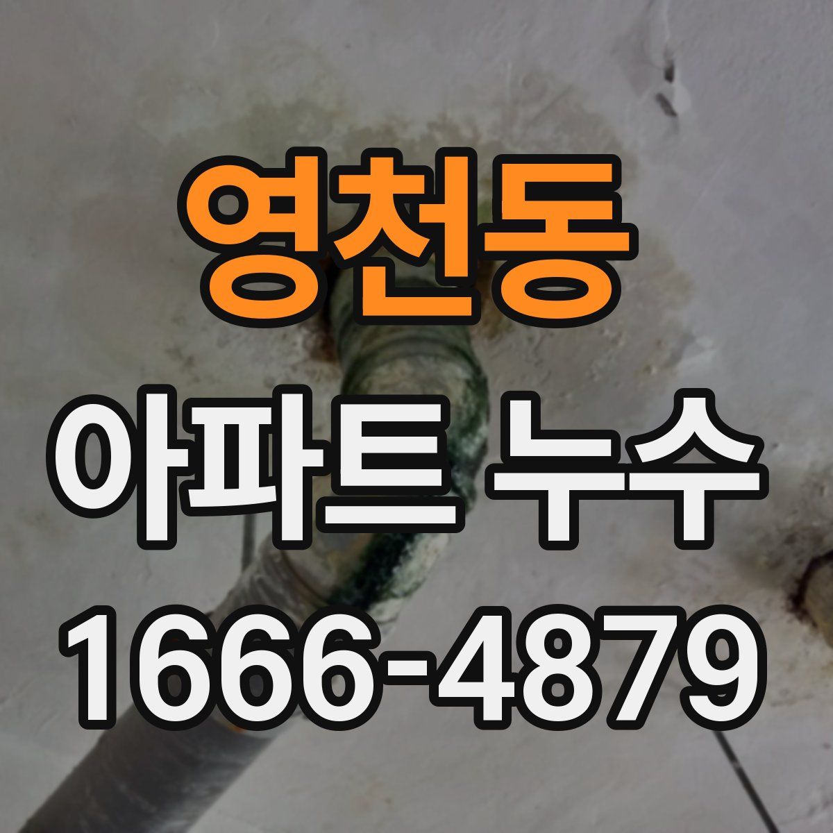 영천동 아파트 누수