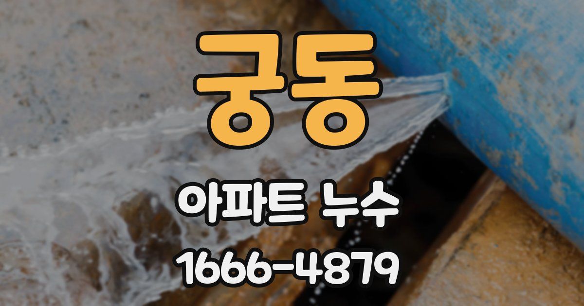 궁동 아파트 누수