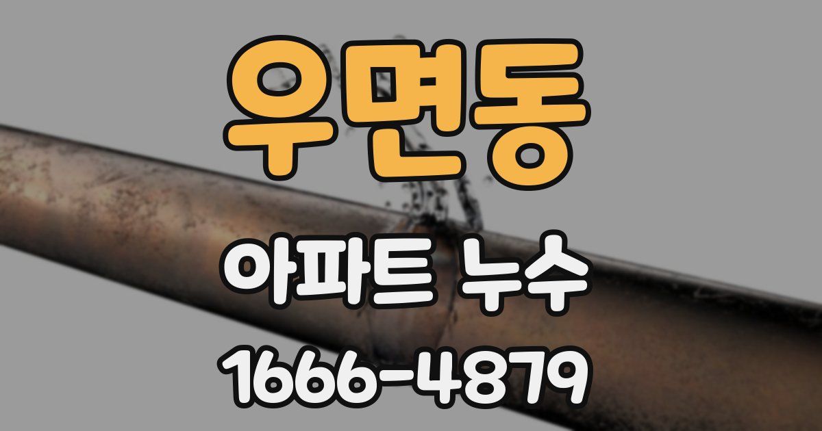 우면동 아파트 누수