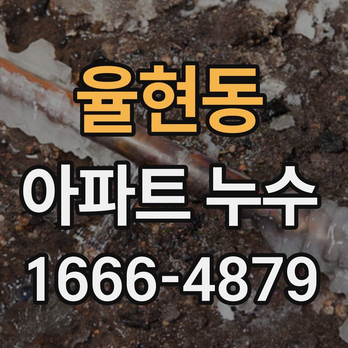 율현동 아파트 누수 공용부와 세대별 구분 방법